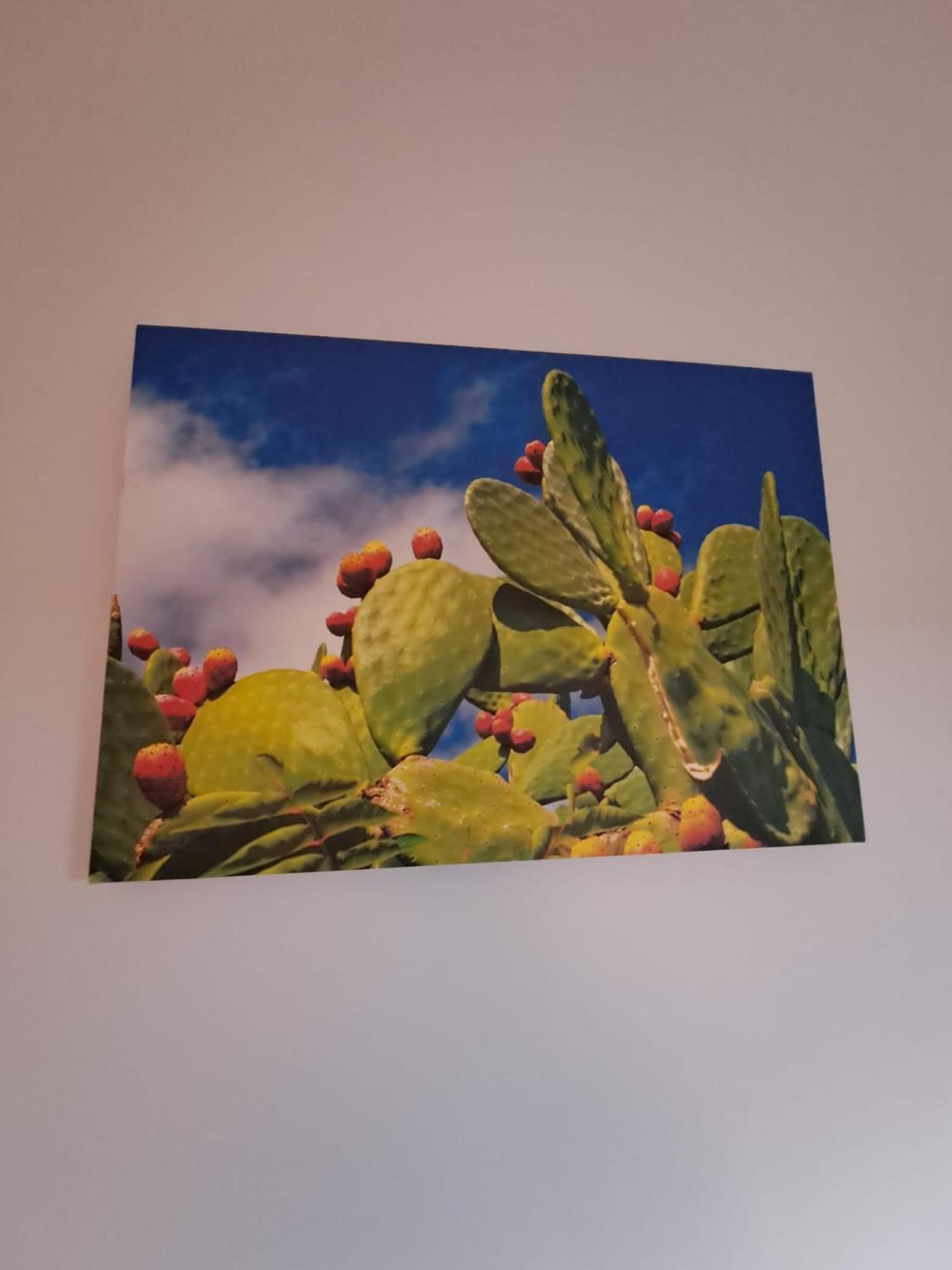 Appartamento Ammirata باليرمو المظهر الخارجي الصورة